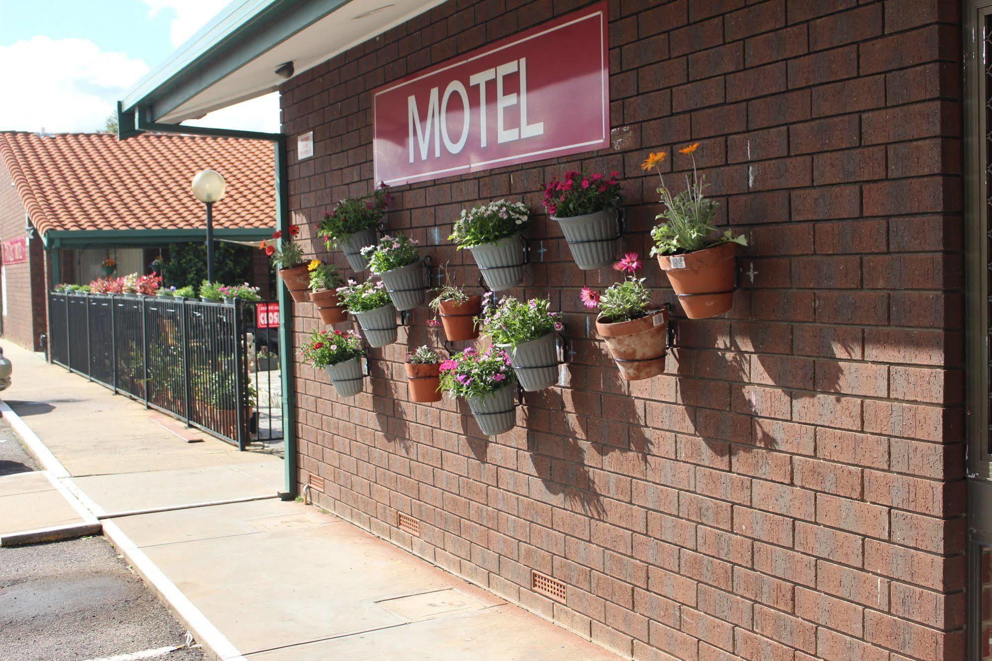 Pavlos Motel Ingle Farm Dış mekan fotoğraf